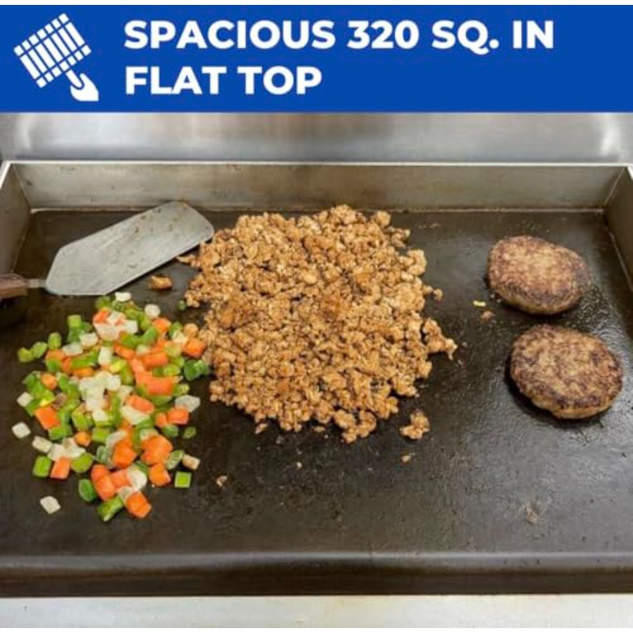 Outdoor Propane Deep Fryer and - Electric Griddle Flat Top avis et prix