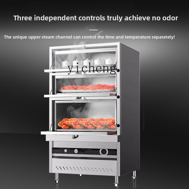 ZZ seafood steamer cabinet com - Commercial Steamer Cabinet avis et prix