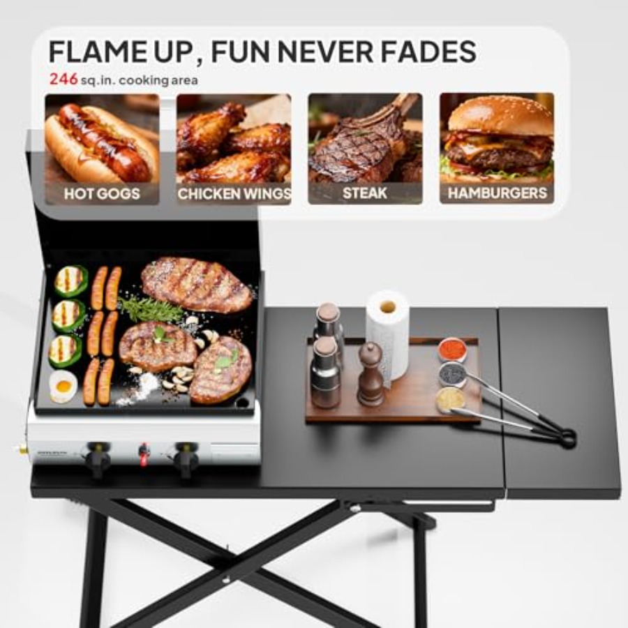 2 Burner Foldable Propane Grid - Electric Griddle Flat Top avis et prix